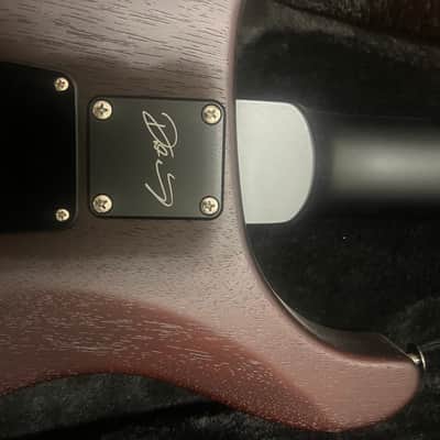 PRS Dustie Waring Signature CE 24 Floyd 2020 - Present - Burnt Amber Smokeburst image 5