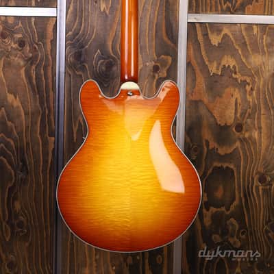 Eastman T-486 Gold Burst image 7