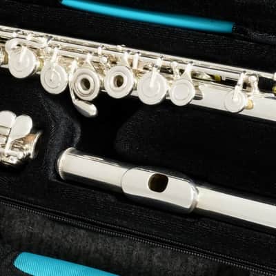 Wm. S. Haynes Amadeus Model AF800 Open Hole Low B Flute image 1