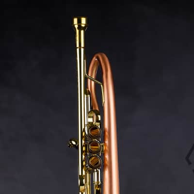 Taylor 46 Balladeer Bb trumpet / flugelhorn hybrid 2020, matte lacquer image 7