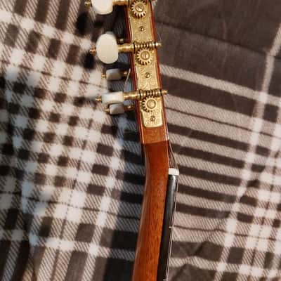Tim Harris Double Top 2012 Classical Guitar Cedar / Redwood + Crossrock PolyCarbon case image 3