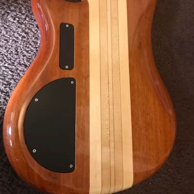 Immagine Alembic Essence 5 string - 7