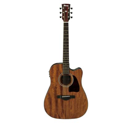 Ibanez AW54 CE OPN Open Pore Natural - Acoustic Guitar image 1