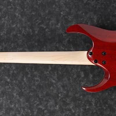Ibanez RGA42FM-TGF RGA Standard - Transparent Gray Flat image 5
