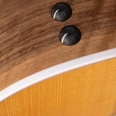 Taylor 210ce Dreadnought Acoustic/Electric Guitar with Gig Bag - Factory Demo image 13