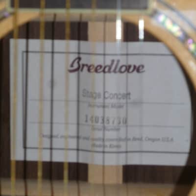 Breedlove Stage Concert image 4