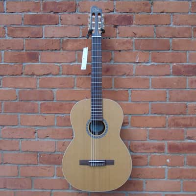 Godin Presentation  Classical SF Guitar w/bag image 1