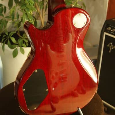 PRS SC 245  Artist image 11