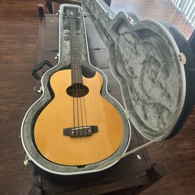 Washburn AB-10 - Natural image 12
