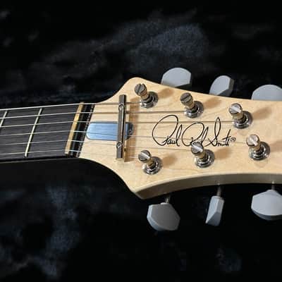 PRS Silver Sky "Dead Spec" Limited image 4
