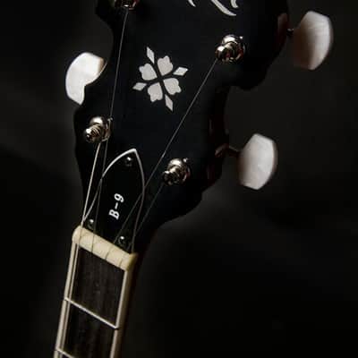 Washburn B9 Series 5-String Banjo image 5