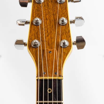 Washburn Falcon 1981- Rosewood - 5 piece neck through with coil taps image 8