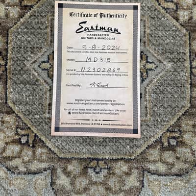 Eastman MD315 F-Style Mandolin w/ Padded Gig Bag & Free Pro Setup image 11
