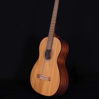 Fender FA-15N 3/4 Scale Nylon String with Gig Bag, Natural image 6