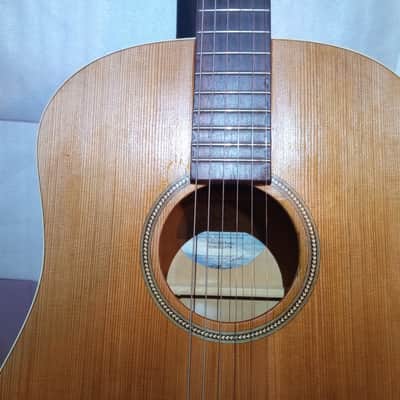 Seagull Entourage Dreadnought 2018 - Autumn Burst image 6