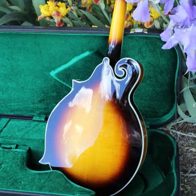 Washburn M3SWK Bluegrass F-Style Mandolin with Hardshell Case- Sunburst image 5