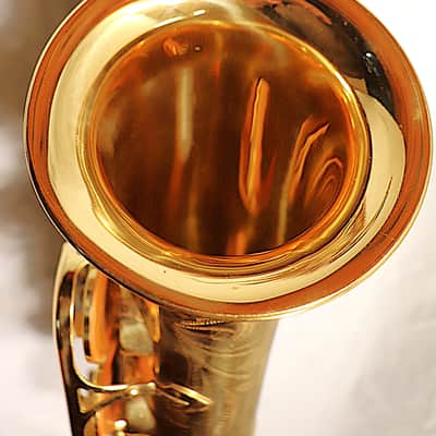 Yanagisawa 990 Alto Saxophone image 24