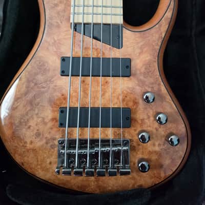 MTD Kingston Z6 with Maple Fretboard 2020 - Present - Natural Gloss image 5