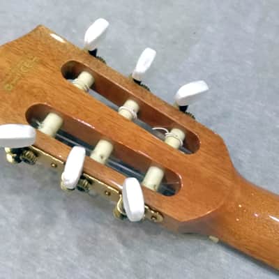 Ibanez EWN30 Natural Nylon image 6