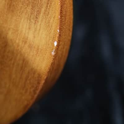 Gibson Les Paul Triumph Bass 1973 Walnut image 13