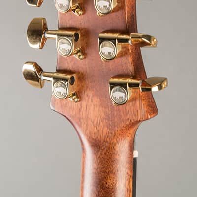 Baldacci Bighorn Semi-Hollow 2020, Sunburst image 9