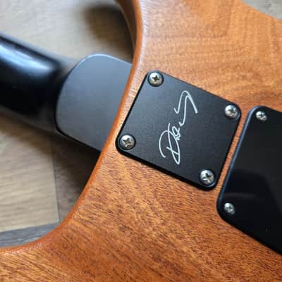 PRS Dustie Waring CE-24 image 18