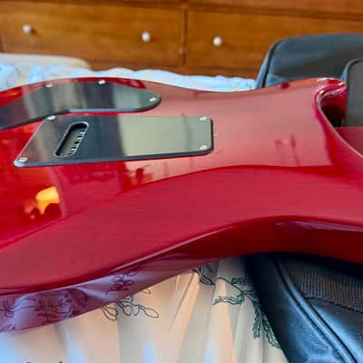 PRS SE DGT David Grissom Tremolo Standard 2025 - Present - Vintage Cherry image 8