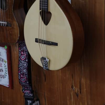 GOLD TONE Mandola 8-string viola style tuning MANDOLIN w/ BAG - Solid Top - B stock image 2