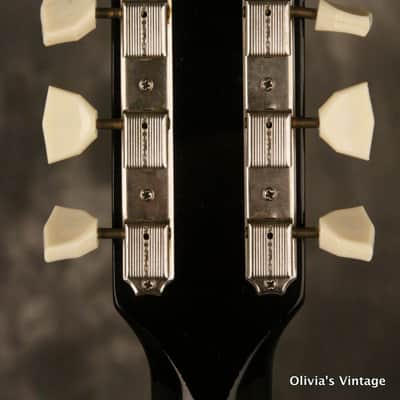 Supro Dual Tone 1957 Black & White image 9