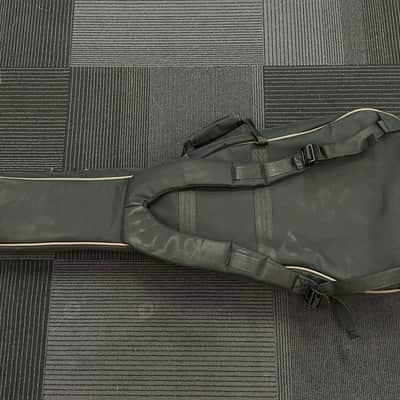 Paul Reed Smith SE Parlor/00 Gigbag, Recent image 2