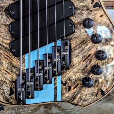 2022 Dingwall Z3: Dual Density Ash Body, Buckeye Top, Wenge Neck & Fingerboard image 3