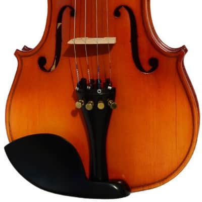 OQAN OV500 3/4 image 2