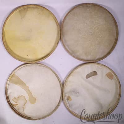 *Leedy/Ludwig 4x 14" Snare/Tom Drum Calf Skin Heads Batter Side Set Vintage 20s* image 6