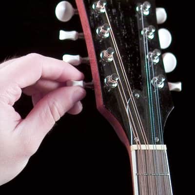 Saga AM-10 A-Model Mandolin Kit image 6