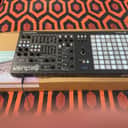 Polyend Dreadbox Medusa Hybrid Synthesizer 2018 - 2021 - Black