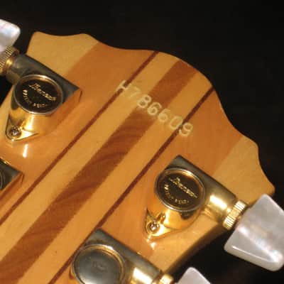 Ibanez Musician MC400 1978 Natural, Pro serviced, Aluminum flight case image 4
