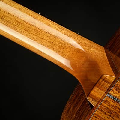 Froggy Bottom Model F14 Deluxe - Adirondack Spruce & Guatemalan Rosewood image 11