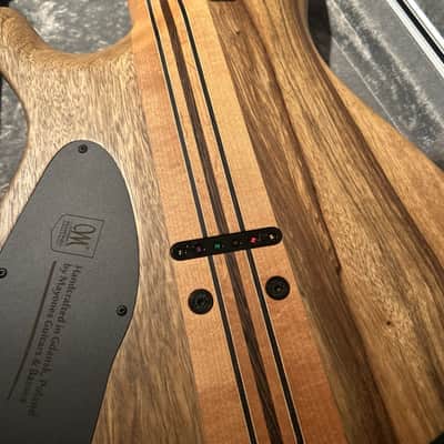 Mayones Regius Core 6 image 7