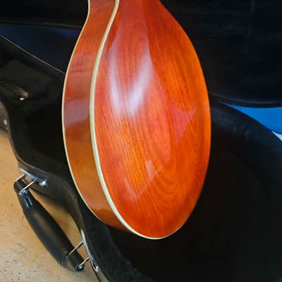 Gibson A4 Mandolin 1915 image 11