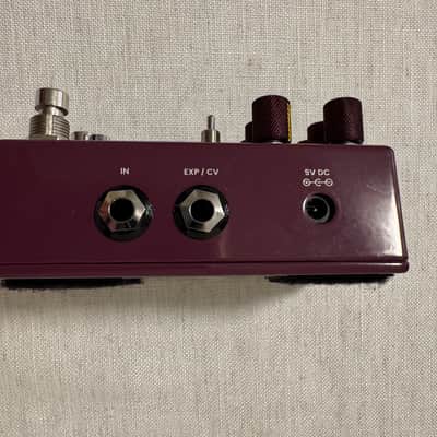 Chase Bliss Audio Brothers AM 2025 - Present - Various image 3