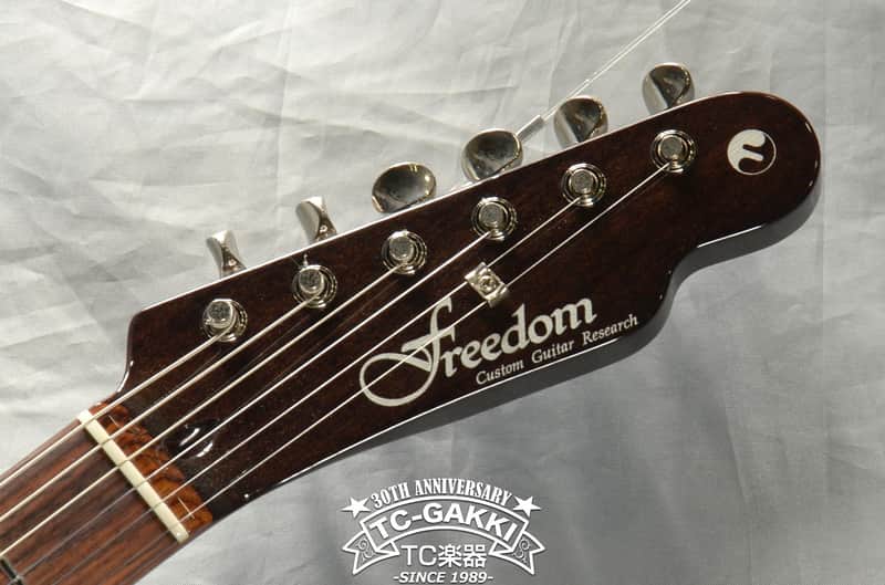 2018 FREEDOM CUSTOM GUITAR RESEARCH Black Pepper | Reverb