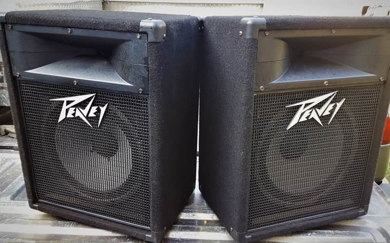 Peavey Model 112PS Bi-Amp 250 Watt 1x12" Speaker Precision Transducer Cabinet image 1