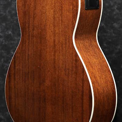 Ibanez PNB14E 4-String Acoustic Electric Parlor Bass - Open Pore Natural image 3