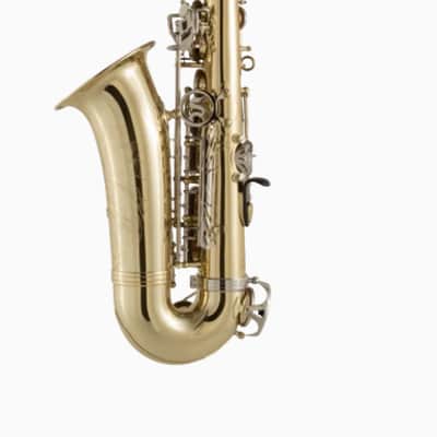 Selmer SAS301 Student Alto Saxophone - Lacquer image 2