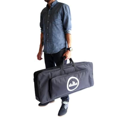 Temple Audio DUO 34 Soft Case image 2