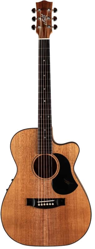 MATON EBW808C w/Case image 1