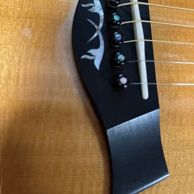 Taylor 914ce with ES1 Electronics 2010 - Natural image 18