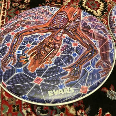 Evans Danny Carey 22"  Fear Inoculum “The Turning Man” #1 & #2  Bass Drum Head Set image 2