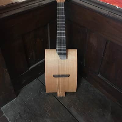 Kelly custom instruments Monolute 2018 image 6
