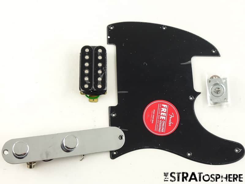 Fender Fender